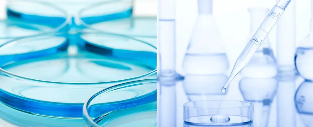 application of Laboratory glass petri dish 100mm 